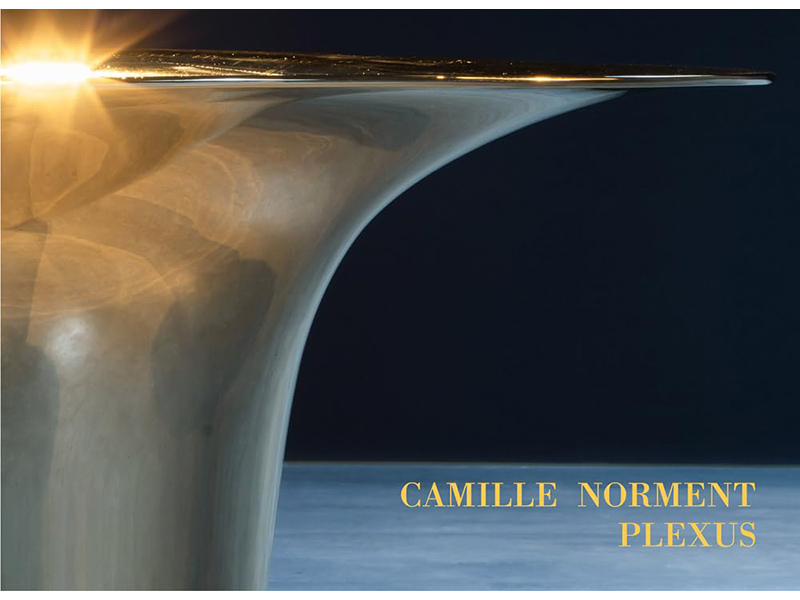 BOOK:  Camille Norment Plexus